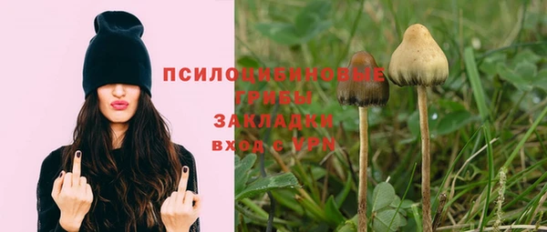 Альфа ПВП Алзамай