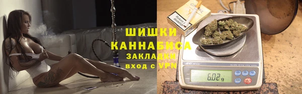 стаф Абаза