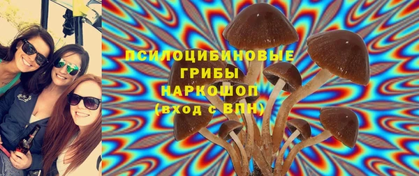 прущие крисы Алексеевка